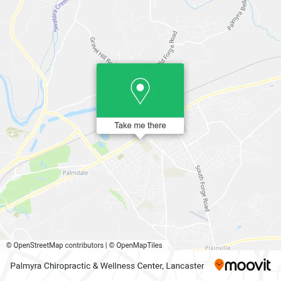 Palmyra Chiropractic & Wellness Center map