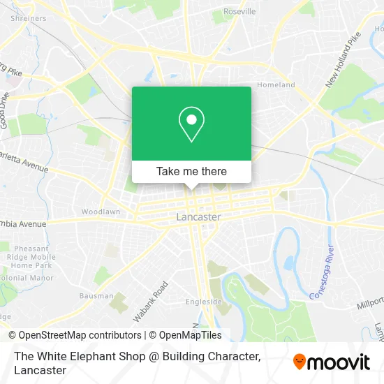 The White Elephant Shop @ Building Character map