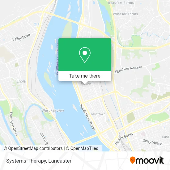 Systems Therapy map