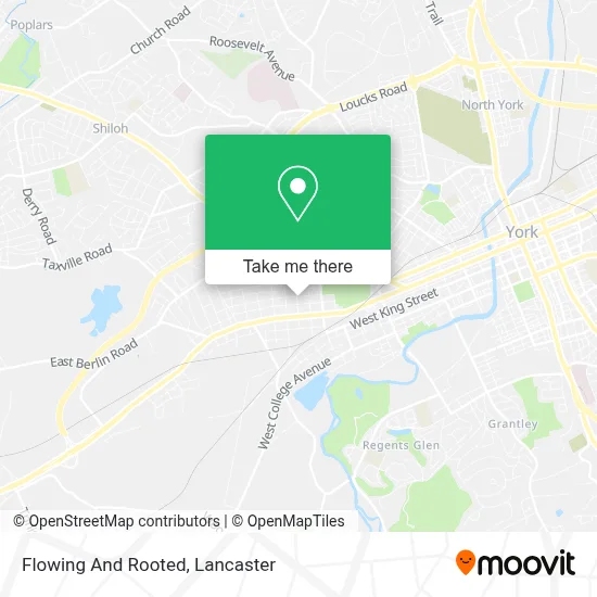 Flowing And Rooted map