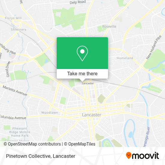Pinetown Collective map