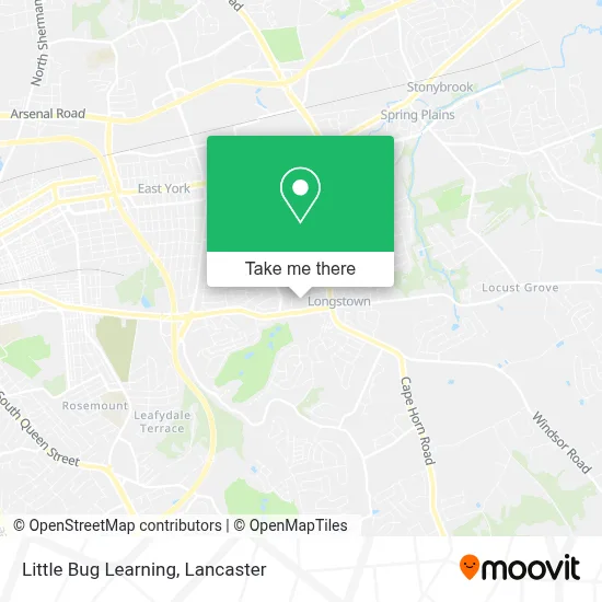 Little Bug Learning map