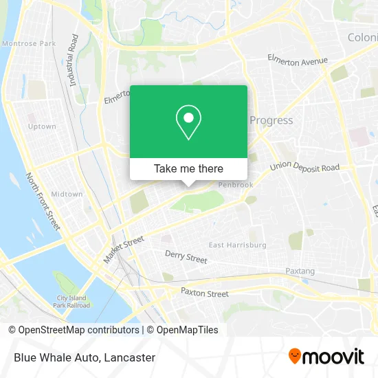Blue Whale Auto map
