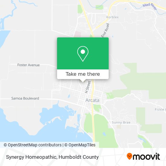 Mapa de Synergy Homeopathic