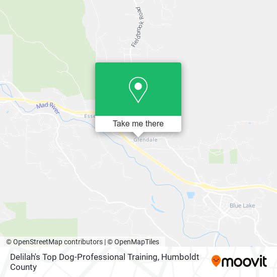 Delilah's Top Dog-Professional Training map