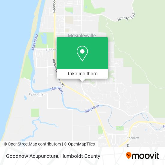 Mapa de Goodnow Acupuncture