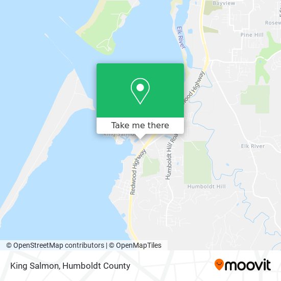 Mapa de King Salmon