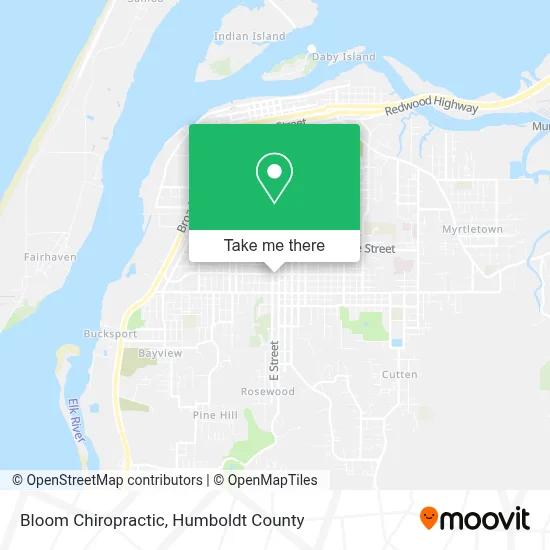 Bloom Chiropractic map