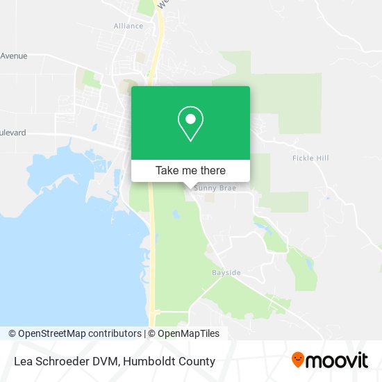 Lea Schroeder DVM map