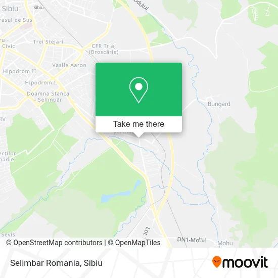 Selimbar Romania map
