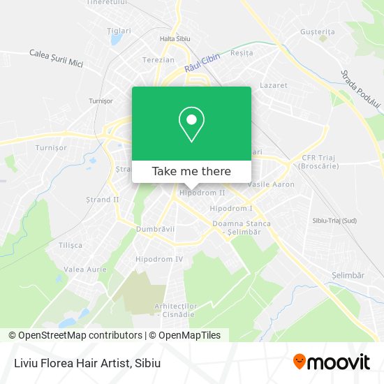 Liviu Florea Hair Artist map