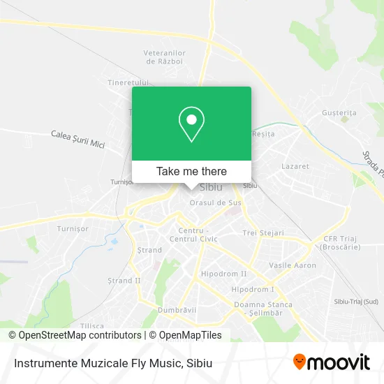 Instrumente Muzicale Fly Music map