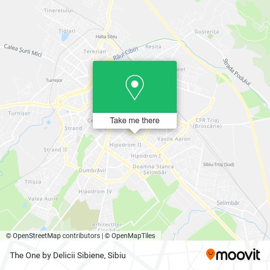 The One by Delicii Sibiene map