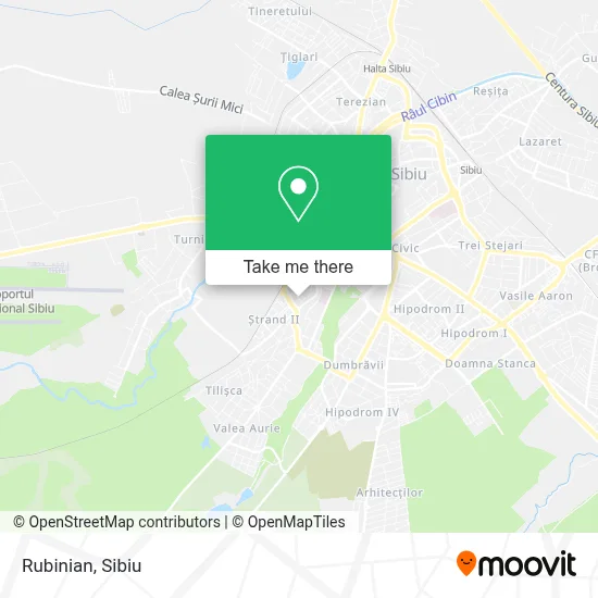 Rubinian map