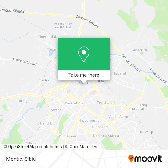 Montic map