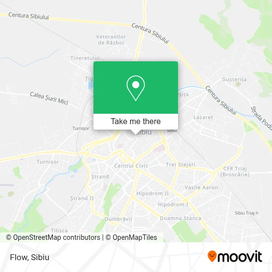 Flow map