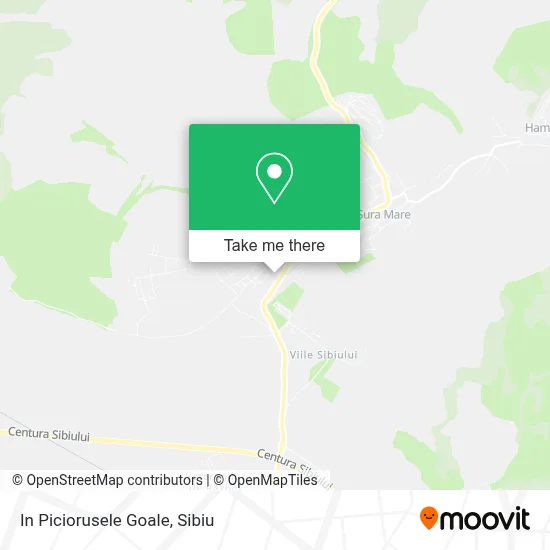 In Piciorusele Goale map
