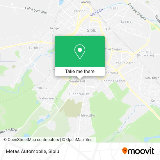 Metas Automobile map