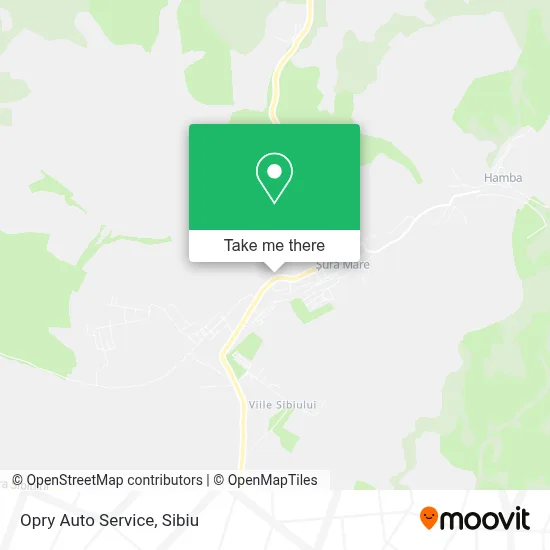 Opry Auto Service map