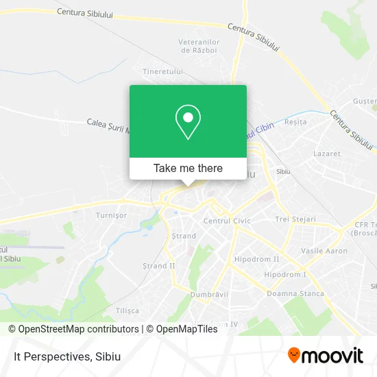It Perspectives map
