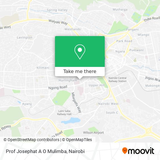 Prof Josephat A O Mulimba map