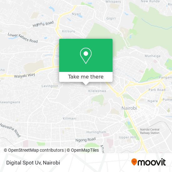 Digital Spot Uv map