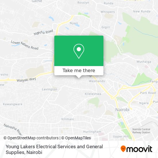 Young Lakers Electrical Services and General Supplies map