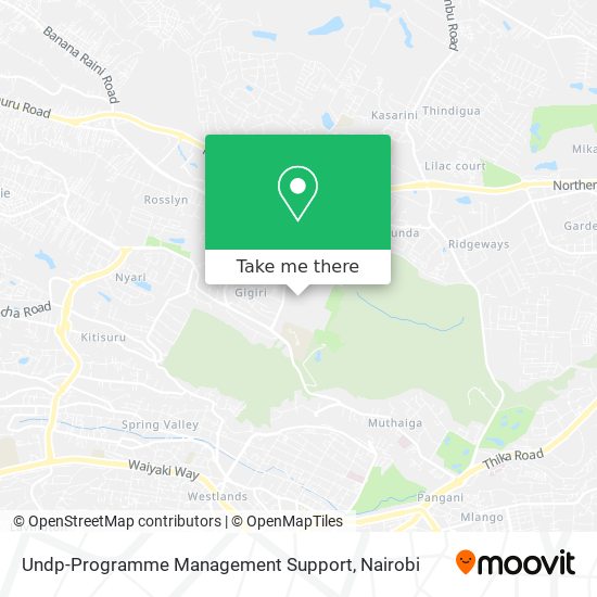 Undp-Programme Management Support map