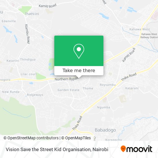 Vision Save the Street Kid Organisation map