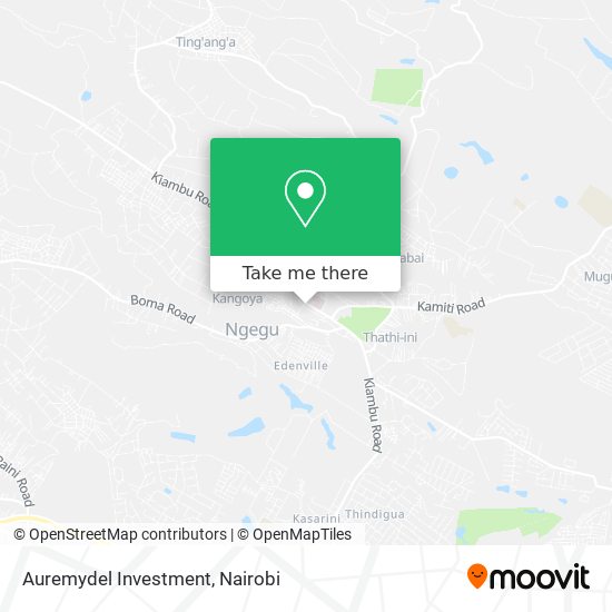 Auremydel Investment map