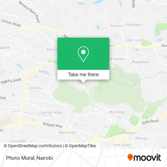 Photo Mural map