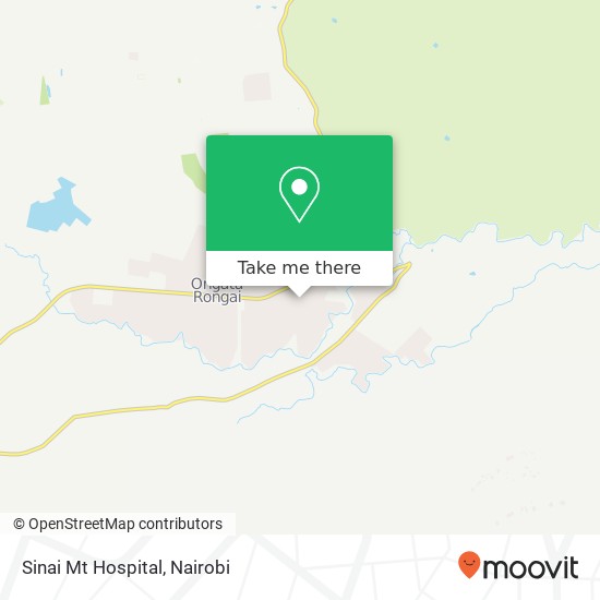 Sinai Mt Hospital map