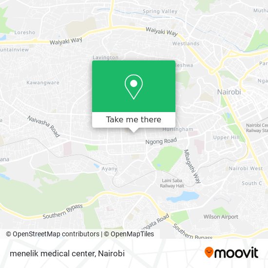 menelik medical center map