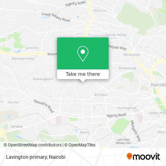 Lavington primary map