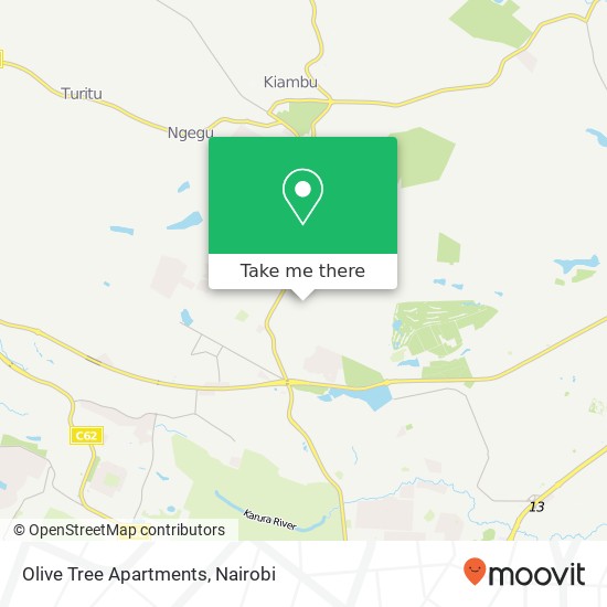 Olive Tree Apartments map