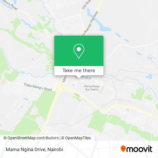 Mama Ngina Drive map