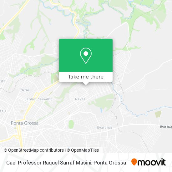 Cael Professor Raquel Sarraf Masini map