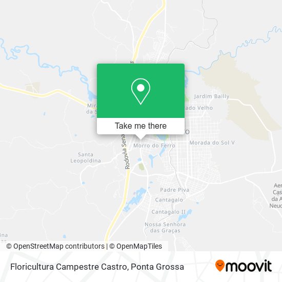 Floricultura Campestre Castro map