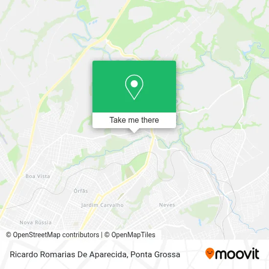 Ricardo Romarias De Aparecida map