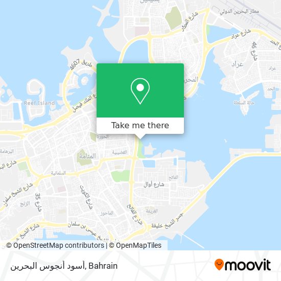 أسود أنجوس البحرين map