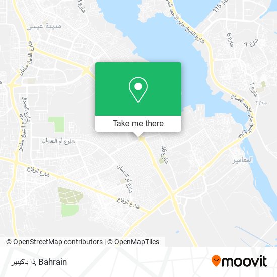 ذا باكينير map