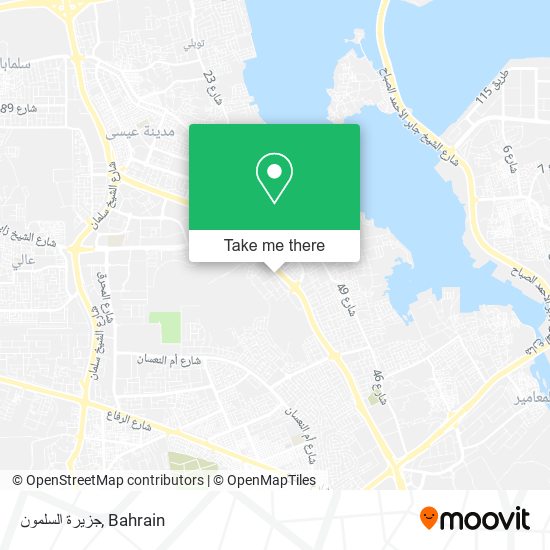 جزيرة السلمون map