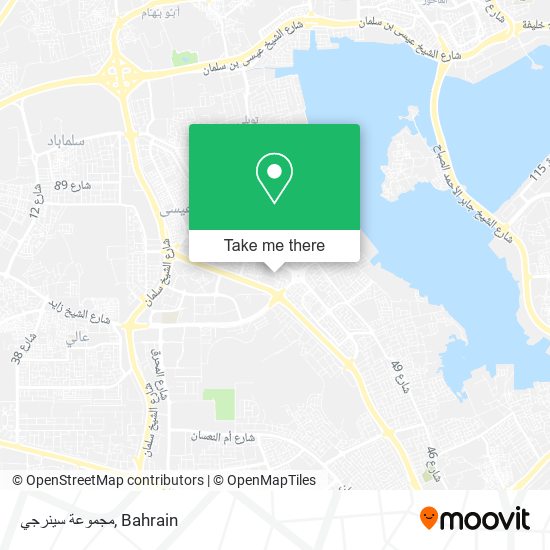 مجموعة سينرجي map