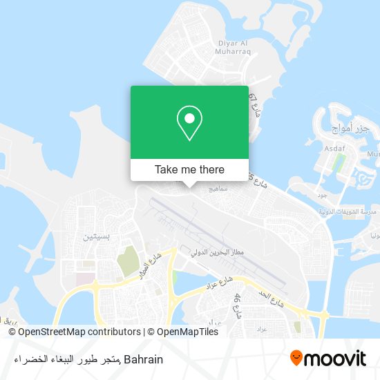 متجر طيور الببغاء الخضراء map
