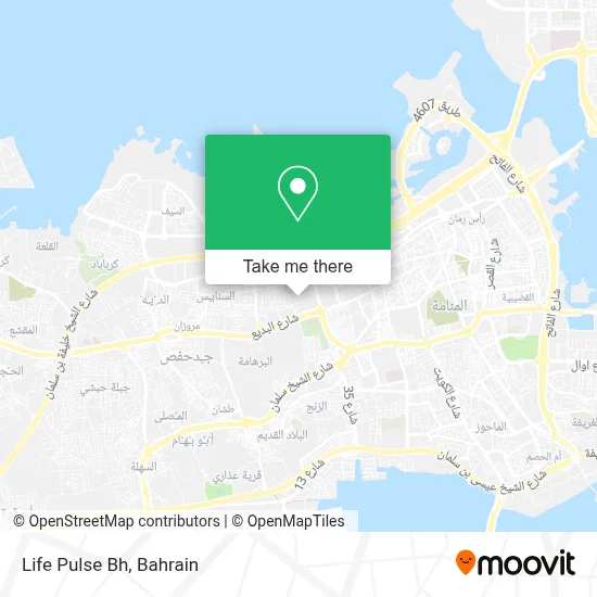 Life Pulse Bh map
