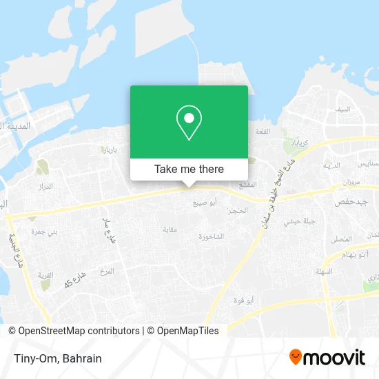 Tiny-Om map