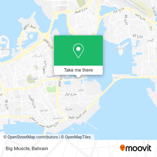Big Muscle map