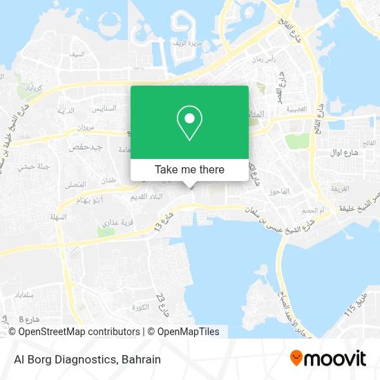 Al Borg Diagnostics map