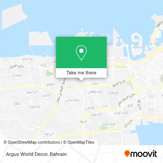 Argus World Decor map