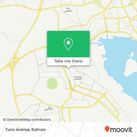 Tunis Avenue map